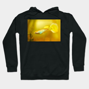 Yellow Guppy Fish Hoodie